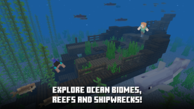 Minecraft 8